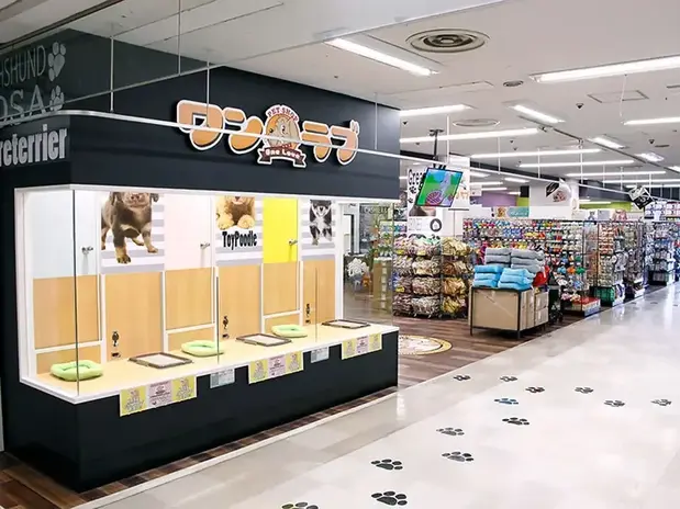 ペットショップ ワンラブ